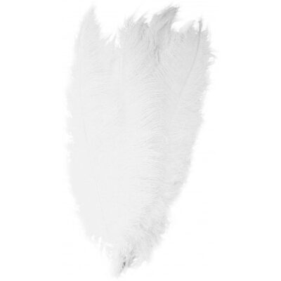 10x Witte decoratieveren/vogelveren 50 cm 10165177