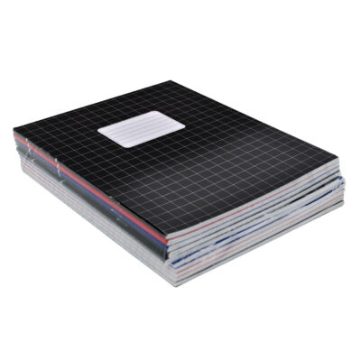 10x gekleurde A5 schriften met ruitjes 10 mm 10206346