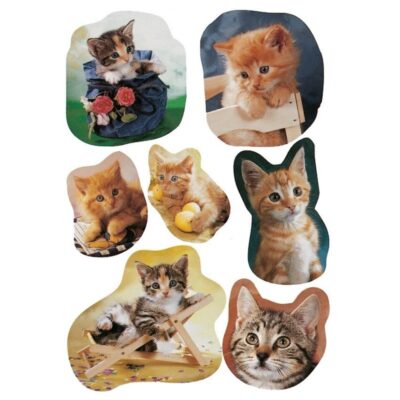 21x Kitten stickertjes voor kinderen 10139662