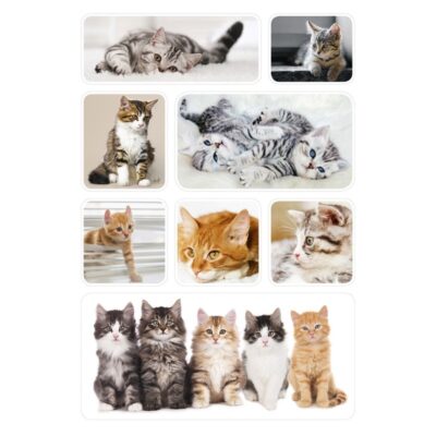 24x Poesjes/kittens stickertjes voor kinderen 10139550