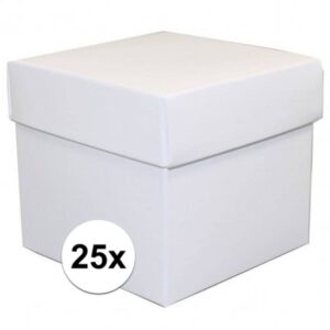 25x Vierkante witte kadootjes/cadeautjes 10 cm 10116233