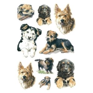 27x Honden stickertjes voor kinderen 10139560