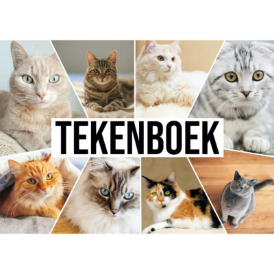 2x A4 katten waaier schetsboek/ tekenboek/ kleurboek/ schetsblok wit papier 10254800