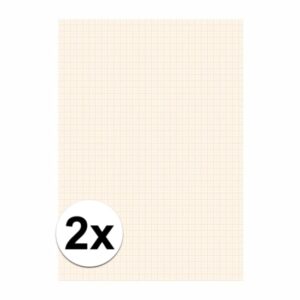 2x Papier blok 1 millimeter geruit 10108107