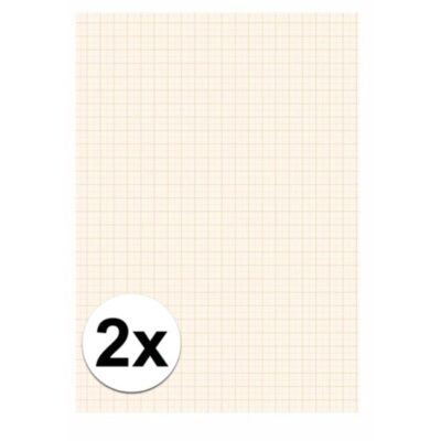 2x Papier blok 1 millimeter geruit 10132803