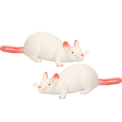 2x Speelgoed huisdier rat 28 cm 10157715