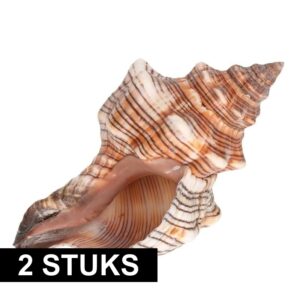 2x Strandschelpjes trapezium 14cm 10135832