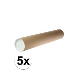 5x Hobbymateriaal kartonnen koker 68 x 10 cm 10105654