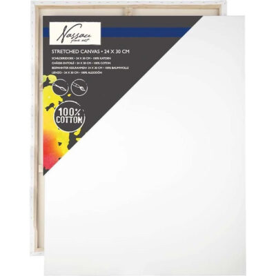 Canvas schildersdoek 24 x 30 cm voor hobby verven/schilderen 10332511