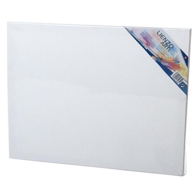 Canvas schildersdoek 50 x 40 cm voor hobby verven/schilderen 10290917