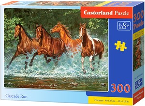 Cascade Run Puzzel (300 stukjes) 37777748525