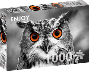 Curious Owl Puzzel (1000 stukjes) 37670702255