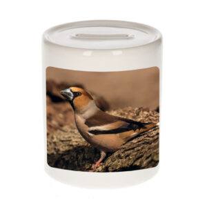 Dieren foto spaarpot appelvink vogel 9 cm - vogels spaarpotten jongens en meisjes 10257178