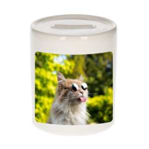 Dieren foto spaarpot gekke poes 9 cm - katten spaarpotten jongens en meisjes 10250818