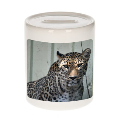 Dieren foto spaarpot gevlekte jaguar 9 cm - jaguars spaarpotten jongens en meisjes 10257202