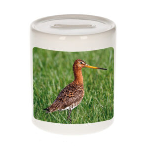 Dieren foto spaarpot grutto vogel 9 cm - vogels spaarpotten jongens en meisjes 10257170