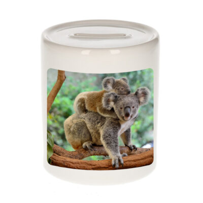 Dieren foto spaarpot koala 9 cm - koalaberen spaarpotten jongens en meisjes 10250800