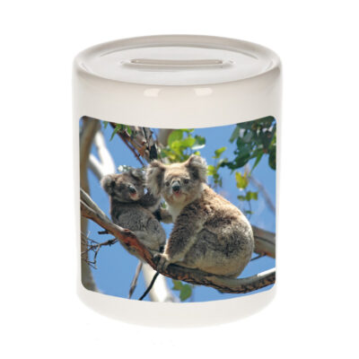 Dieren foto spaarpot koala beer 9 cm - koalaberen spaarpotten jongens en meisjes 10257163