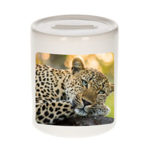 Dieren foto spaarpot luipaard 9 cm - jaguars/ luipaarden spaarpotten jongens en meisjes 10250811