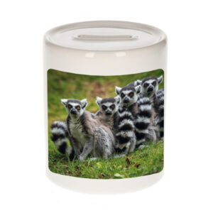 Dieren foto spaarpot maki familie 9 cm - maki apen spaarpotten jongens en meisjes 10257168