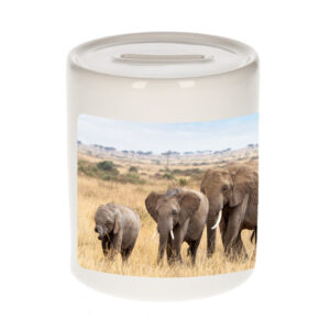 Dieren foto spaarpot olifant 9 cm - olifanten kudde spaarpotten jongens en meisjes 10250820