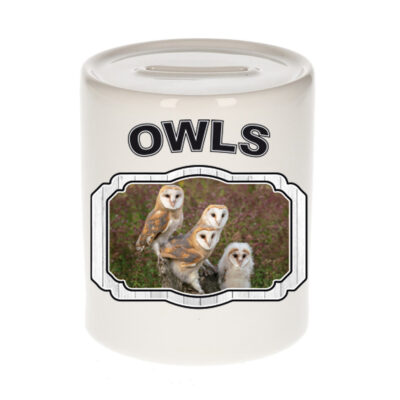 Dieren kerkuil spaarpot - owls/ uilen spaarpotten kinderen 9 cm 10257101