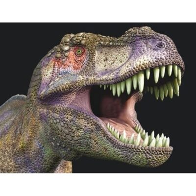 Dieren magneet 3D T-rex 10100710