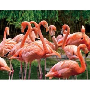 Dieren magneet 3D flamingo 10100726