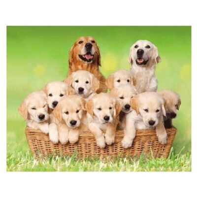 Dieren magneet 3D golden retrievers 10100727