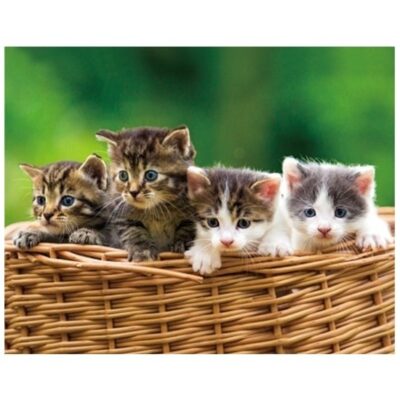 Dieren magneet 3D kittens in mand 10100723