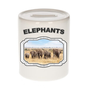 Dieren olifant spaarpot - elephants/ olifanten spaarpotten kinderen 9 cm 10250756