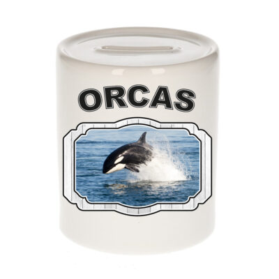 Dieren orka spaarpot - orcas/ orka vissen spaarpotten kinderen 9 cm 10250738