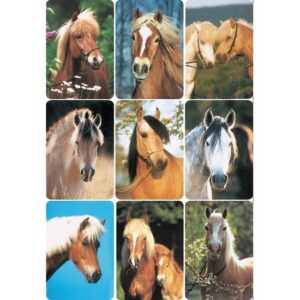 Dieren stickers paardenhoofd rassen 3 stuks 10095499