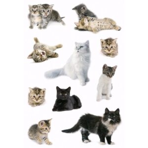 Dieren stickers poezen 3 stuks 10095483