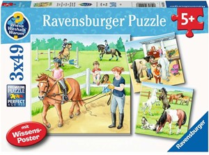 Een Dag op de Manege Puzzel (3 x 49 stukjes) 28372809121