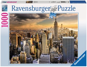 Geweldig New York Puzzel (1000 stukjes) 26947399405