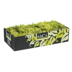 Hobby natuurlijk mos lichtgroen 500 gram 10137247