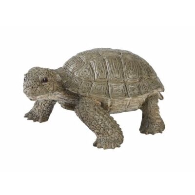 Levensechte schildpad 14 cm 10084889