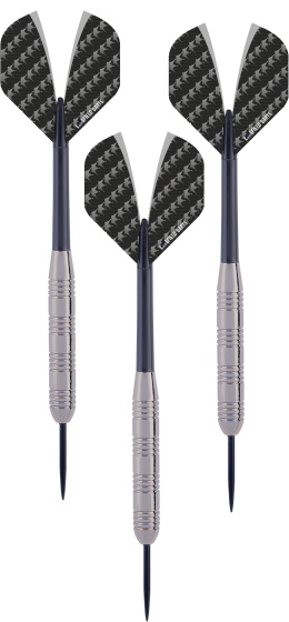 Longfield Darts Steeltip Dartpijl Set 23 gram Zilver/Zwart 3 stuks 1024733