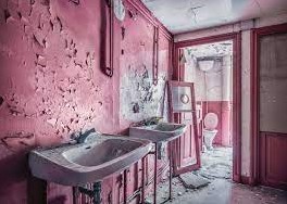 Lost Places - Pink Dreams Puzzel (1000 stukjes) 35189955445