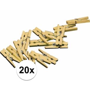 Mini gouden knijpertjes 20x stuks 10012381