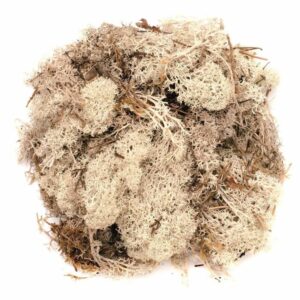 Mos natuurlijk materiaal naturel 150 gram 10208182