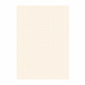 Papier blok 1 millimeter geruit 10094200