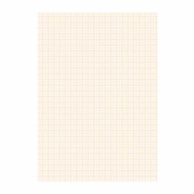 Papier blok 1 millimeter geruit 10094200