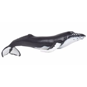 Plastic speelgoed figuur bultrug walvis van 17 cm 10092303