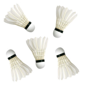 Set van 5x stuks badminton shuttles met veertjes wit 9 x 6 cm 10288714