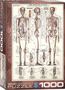 Skeletal System Puzzel (1000 stukjes) 27739104551