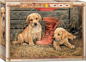 Something Old Something New Puzzel (1000 stukjes) 27739104553