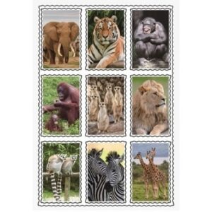 Speelgoed 3D stickers van dieren 10049854