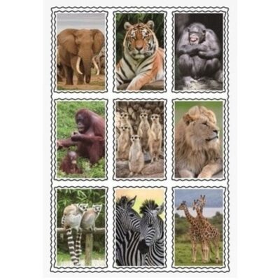 Speelgoed 3D stickers van dieren 10049854